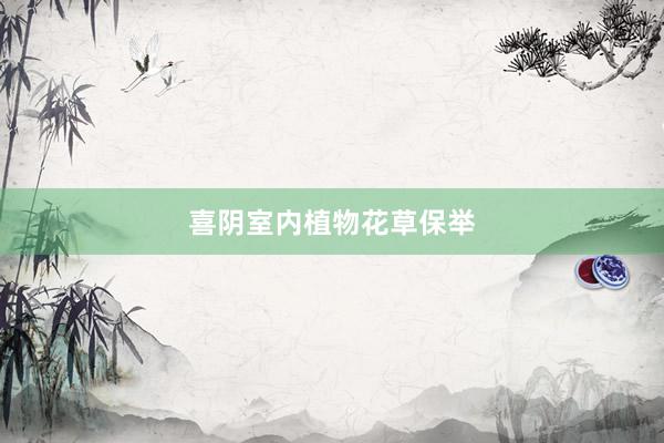 喜阴室内植物花草保举