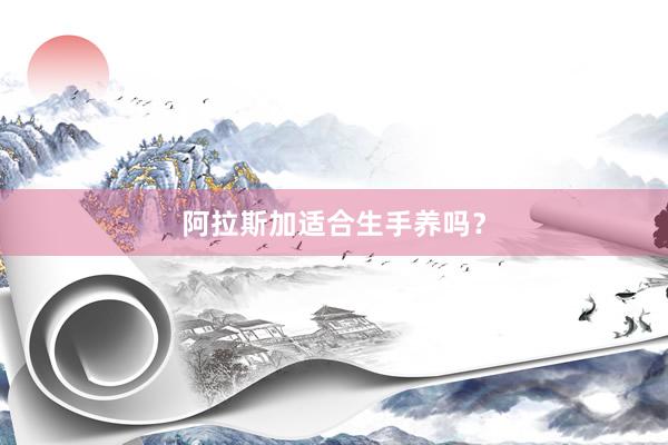 阿拉斯加适合生手养吗？
