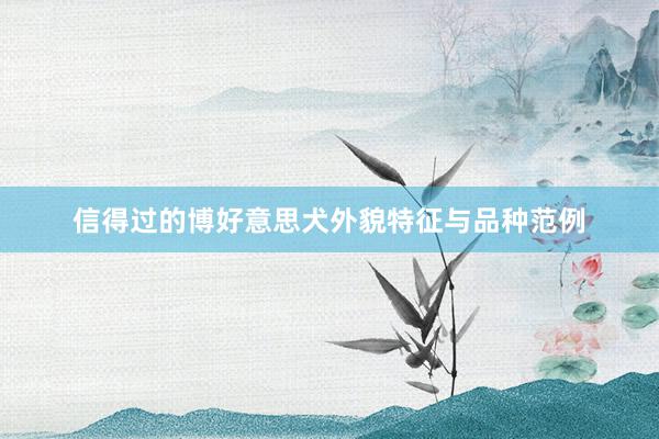 信得过的博好意思犬外貌特征与品种范例